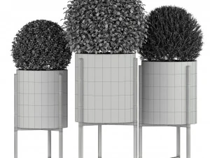 Plants collection 193 3D Model