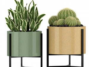 Plants collection 193 Modèle 3D