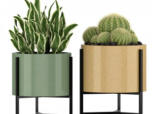 Plants collection 193 3D Model