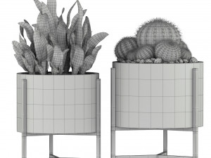 Plants collection 193 Modèle 3D