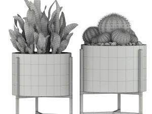 Plants collection 193 3D Model