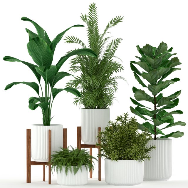 Plants collection 194 3D Model .c4d .max .obj .3ds .fbx .stl .blend 