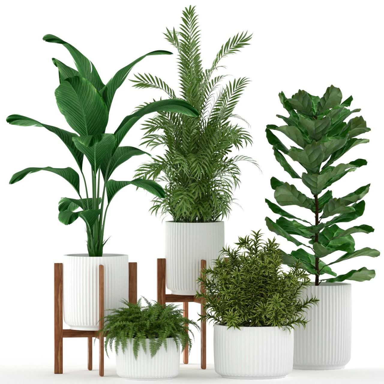 Plants collection 194 3D Model .c4d .max .obj .3ds .fbx .stl .blend 