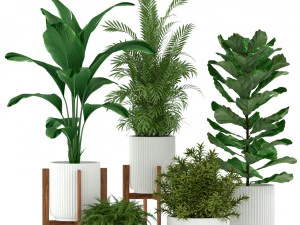 Colecci&oacute;n de plantas 194 Modelo 3D