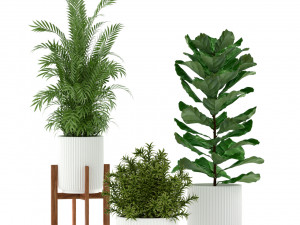 Plants collection 194 3D Model