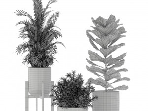 Plants collection 194 3D Model