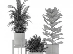 Plants collection 194 3D Model