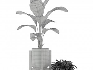 Plants collection 194 3D Model