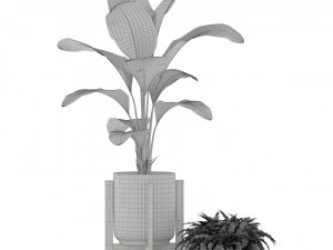 Plants collection 194 3D Model
