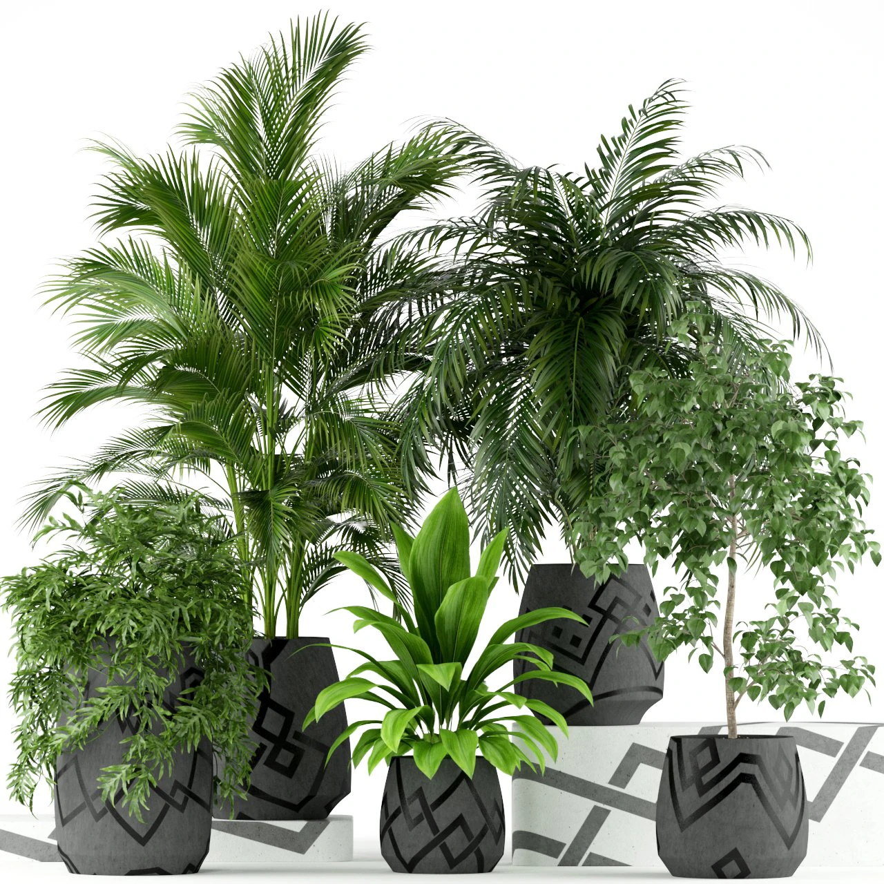 Plants collection 195 3D Model .c4d .max .obj .3ds .fbx .stl .blend 
