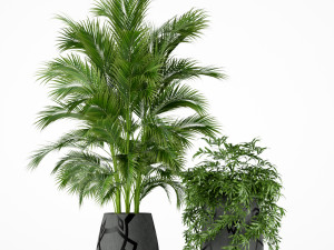 Plants collection 195 3D Model