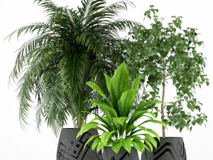 Plants collection 195 3D Model