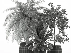 Plants collection 195 3D Model