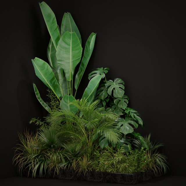Plants collection 196 Modelo 3D .c4d .max .obj .3ds .fbx .stl .blend