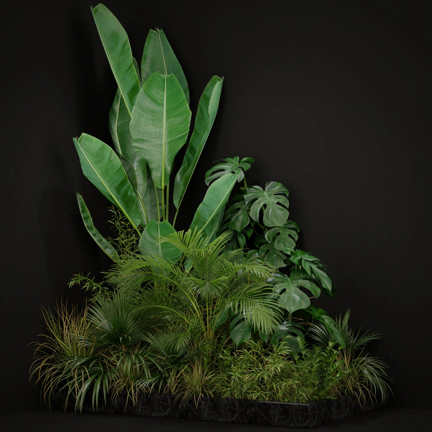 Plants collection 196 3D Model .c4d .max .obj .3ds .fbx .stl .blend