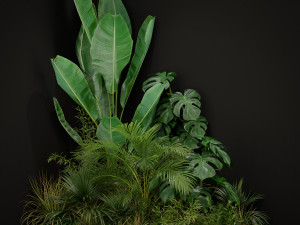 Plants collection 196 Modello 3D
