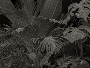 Plants collection 196 Modelo 3D