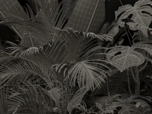 Plants collection 196 3D Model
