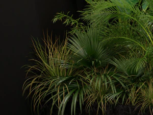 Plants collection 196 3D Model
