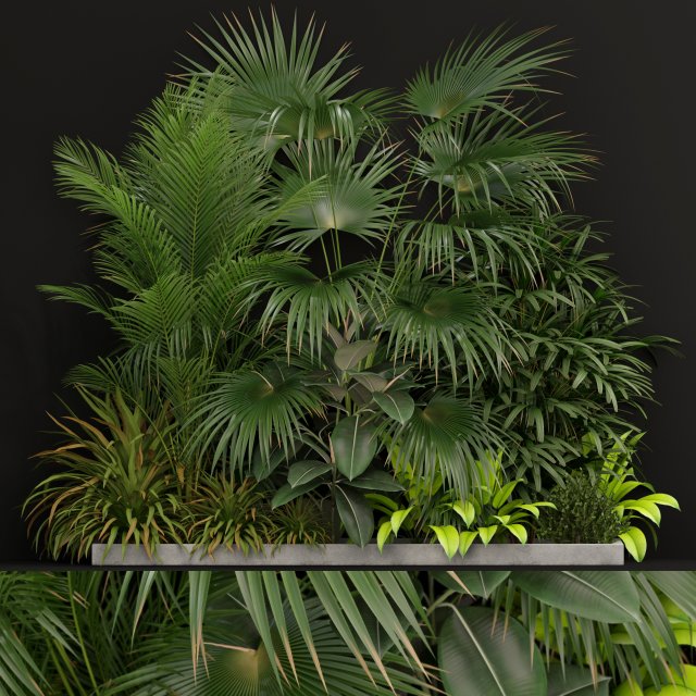 Plants collection 197 Modèle 3D .c4d .max .obj .3ds .fbx .stl .blend 