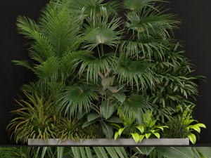 Plants collection 197 3D 모델