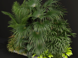 Plants collection 197 Modèle 3D