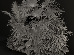 Plants collection 197 Modèle 3D