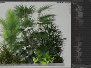 Plants collection 197 Modèle 3D