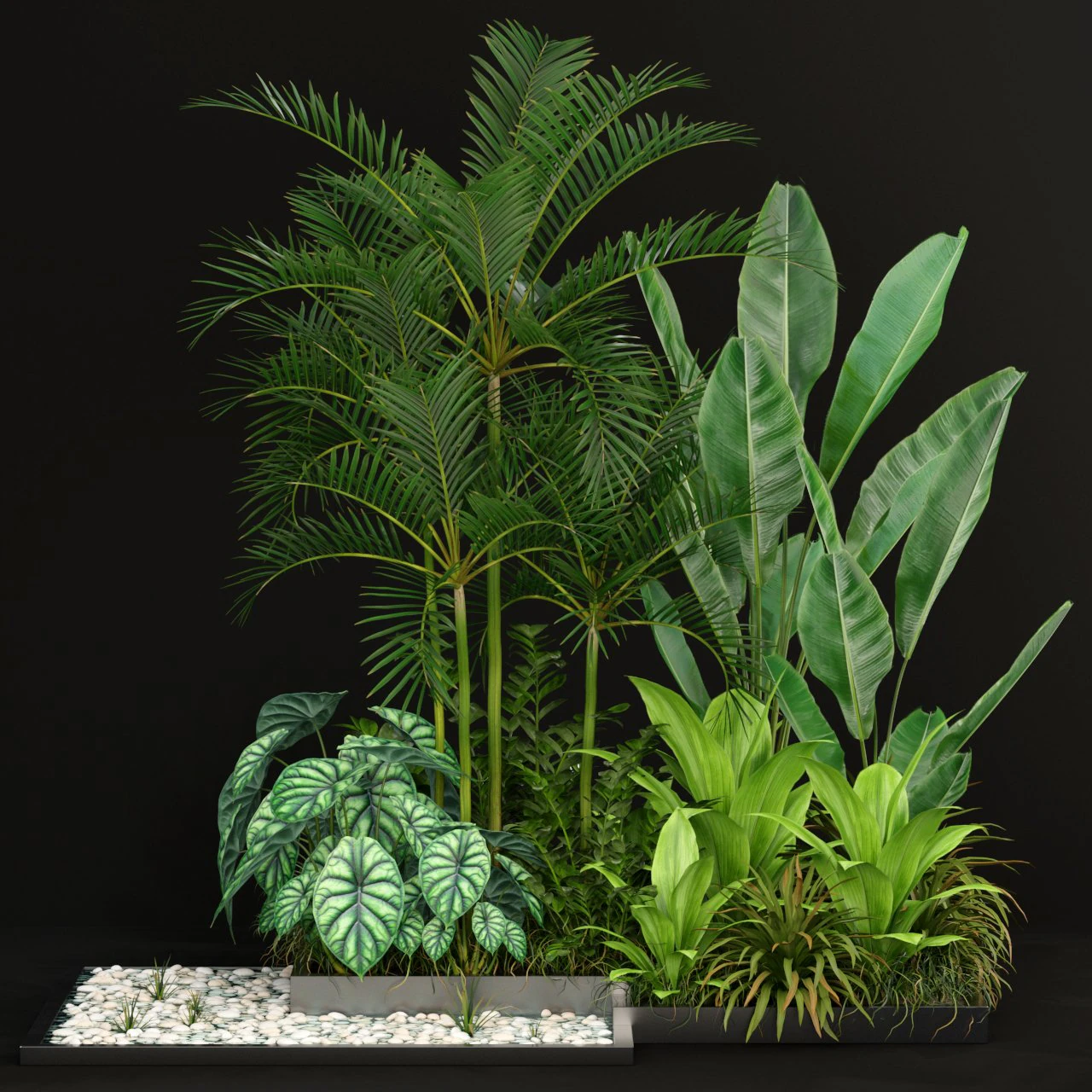 Plants collection 198 3D Model .c4d .max .obj .3ds .fbx .stl .blend 