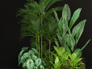 पौधों का संग्रह 198 3D मॉडल