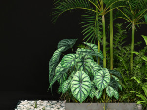 Plants collection 198 Modelo 3D