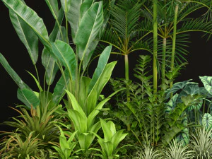 Plants collection 198 3D Model