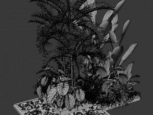 Plants collection 198 Modelo 3D