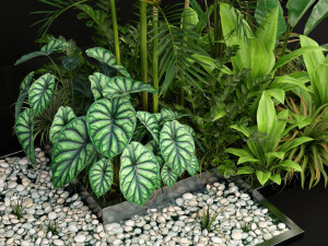 Plants collection 198 Modelo 3D