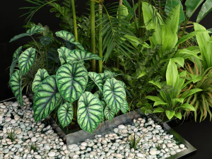 Plants collection 198 3D Model