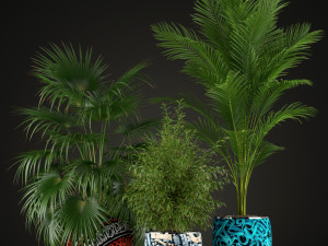 Plants collection 199 3Dモデル