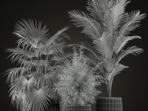 Plants collection 199 3D Modell
