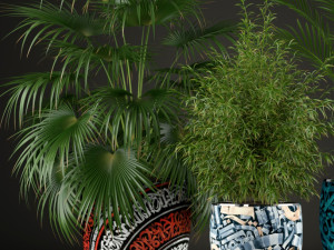 Plants collection 199 3D Modell