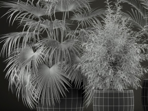 Plants collection 199 3D Modell