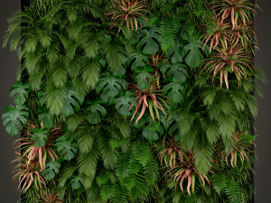 Plants collection 200 3D मॉडल