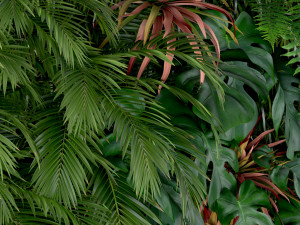 Plants collection 200 3D 模型