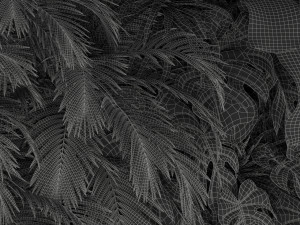 Plants collection 200 3D 模型