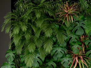 Plants collection 200 3D 模型