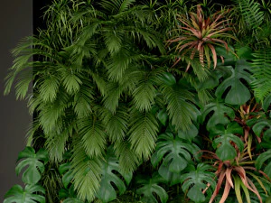 Plants collection 200 3D Model