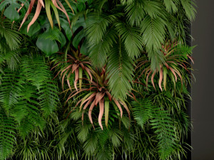 Plants collection 200 3D 模型