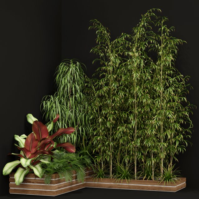 Plants collection 201 3D Model .c4d .max .obj .3ds .fbx .stl .blend 