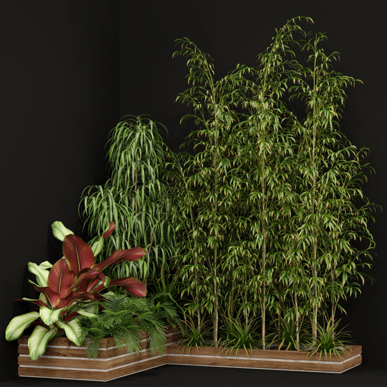 Plants collection 201 3D Model .c4d .max .obj .3ds .fbx .stl .blend 