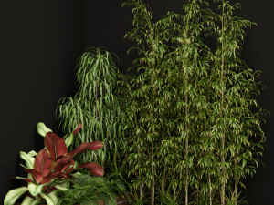 Plants collection 201 3D Model
