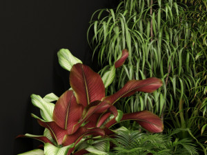 Plants collection 201 3D Model
