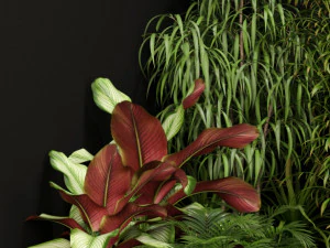 Plants collection 201 3D Model